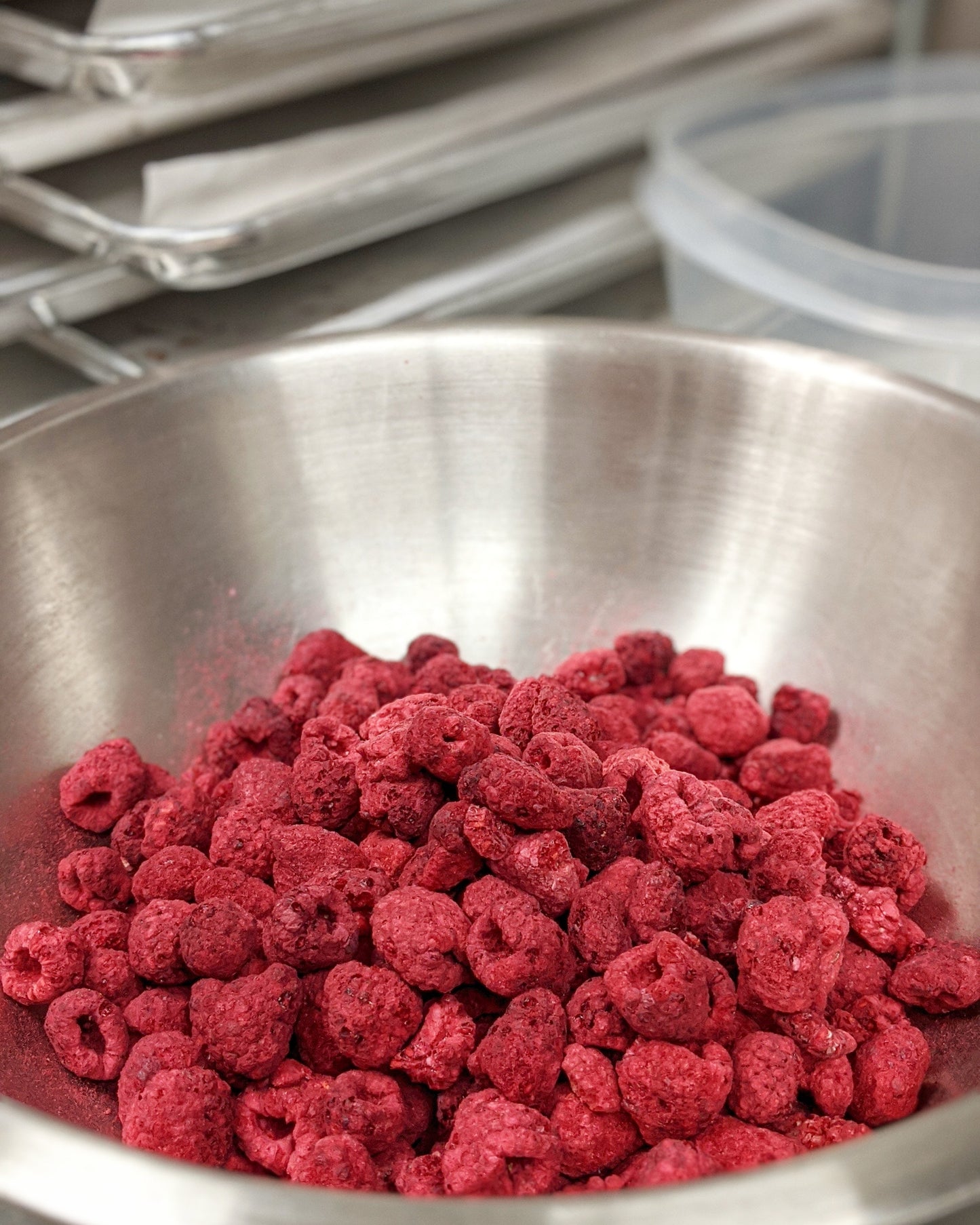 Bark: Raspberry
